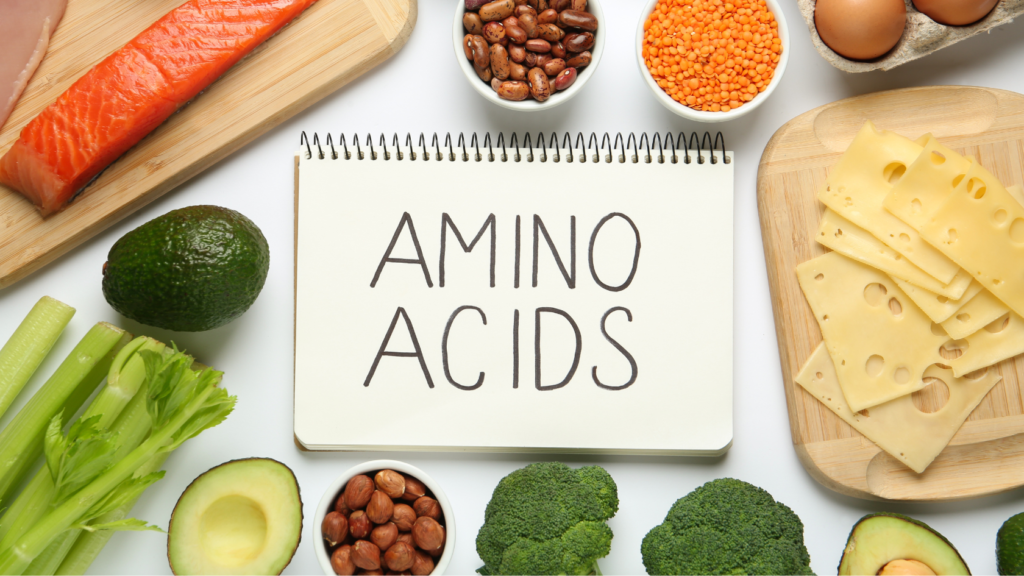 Plant base and animal protein sources surrounded a note book that has "Amino Acids" written on it.  