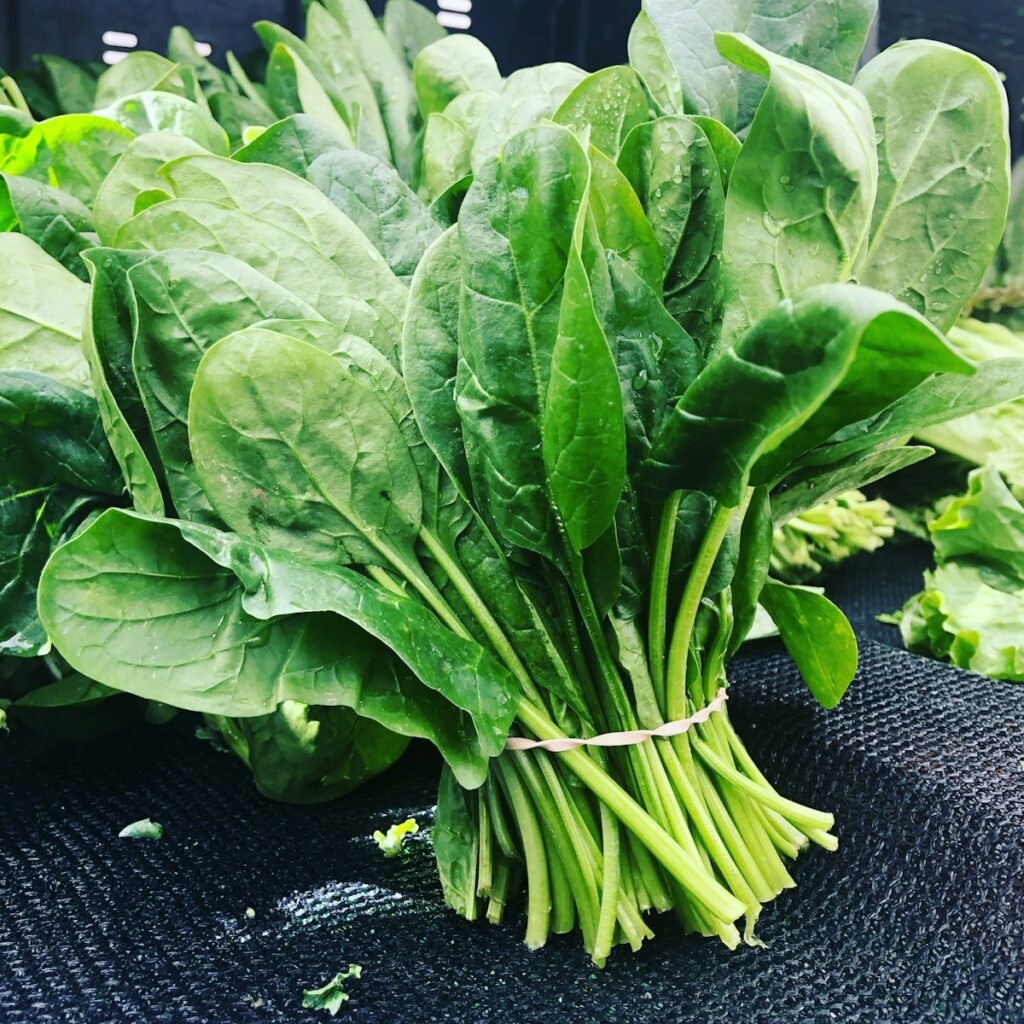 Bundle of spinach as an example of plant base calcium source