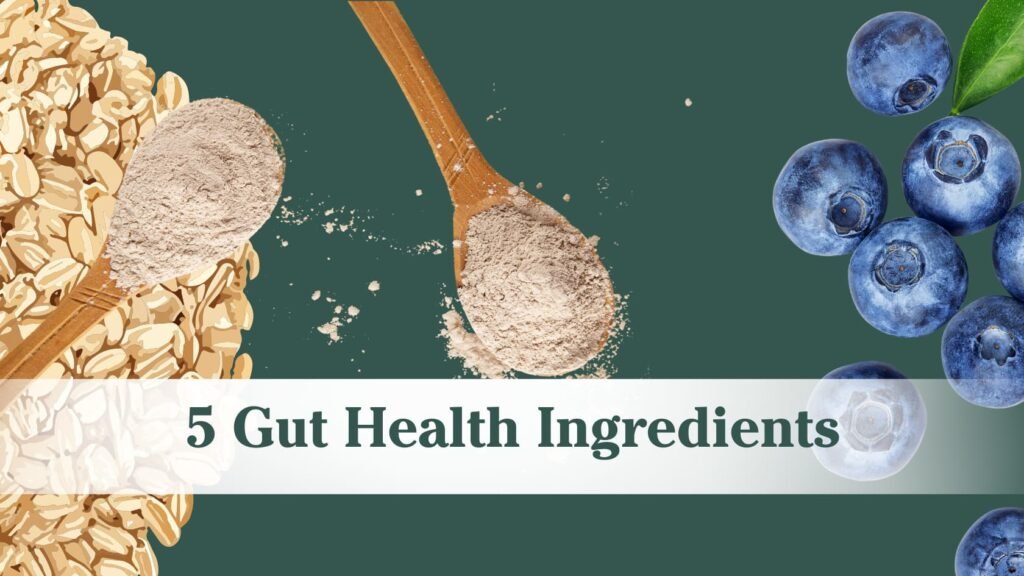 "5 Gut Health Ingredients" with a background of oats, two spoons of protein powder and some scattered blueberries.